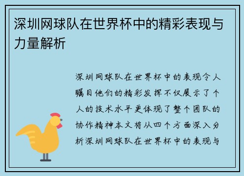深圳网球队在世界杯中的精彩表现与力量解析